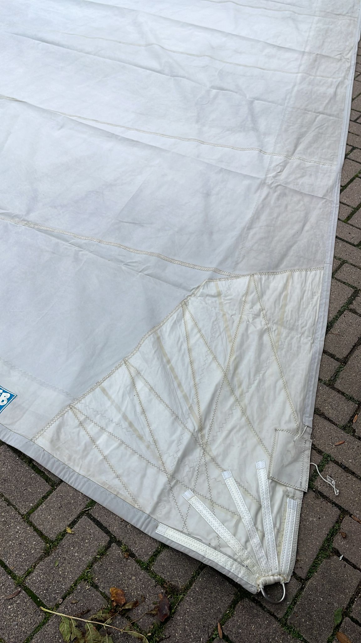 WhatsApp Image 2025-10-07 at 13.36.44